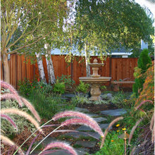Landscape Ideas