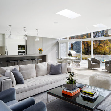MId Century Modern House