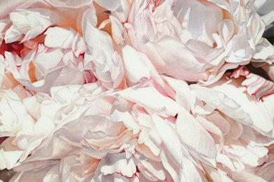 Peonies