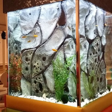 Aquarium - Belgrade