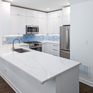 Lincoln Park Kitchen Remodel