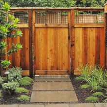 Landscape Ideas