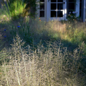 Menlo Park Native Plant Haven