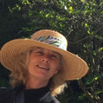 Kates Design and Drawings's profile photo