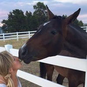 Stacy Dietz's photo