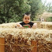 Brenda Hernandez's photo