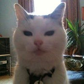 Christopher Evans's photo