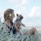 Liz Cantor Lysaught's photo