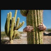 Allory Bauer's photo