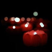 Steven Woo's photo