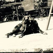 Foto de Larry Schechter
