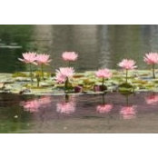 Claudia Poernig's photo