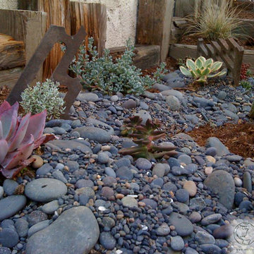 salvaged + reclaimed