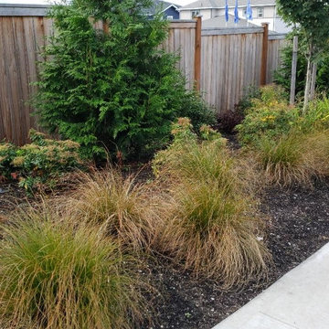 NEW LANDSCAPE DESIGN