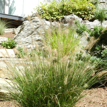 Boulder and Natural Elements Patio