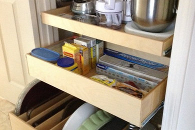 Pull Out Shelves and Tray Bin