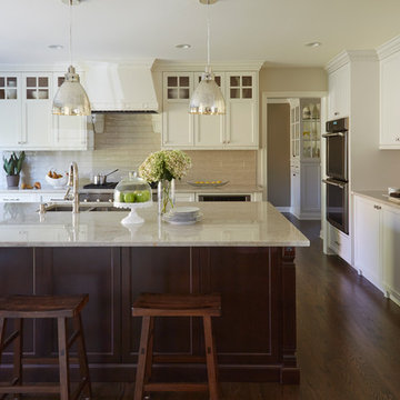 Northbrook Kitchen Transformation