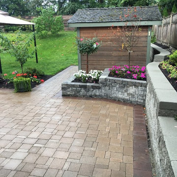 Allen Backyard Transformation
