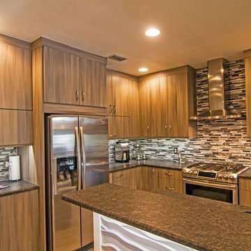 Northeast Park Kitchen Remodel - St. Petersburg, FL