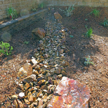 Drought Tolerant Landscape Mission Viejo