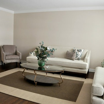 Ottawa Fireplace Redesign