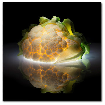 Wieteke De Kogel 'Cauliflower' Canvas Art, 14 x 14