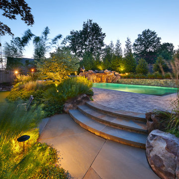 Backyard Adventure