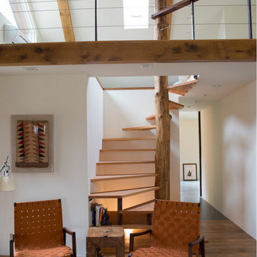 The Cabin