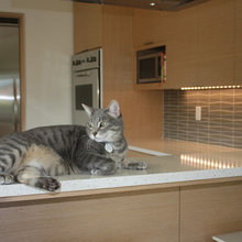 edge of counter