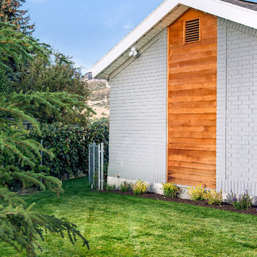 Side Yard With Modern Plants