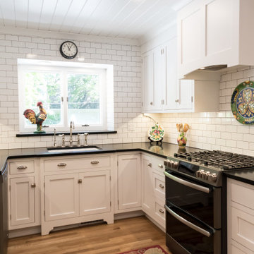 Rockford Kitchen Remodel