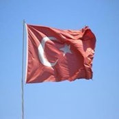Tim Delibaşs billede
