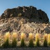 Spencer Densch's photo
