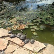 Andrea Cudney's photo