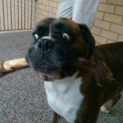 Eddie Mance's photo