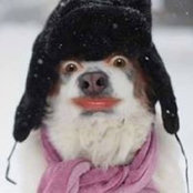 Heather Awad's photo