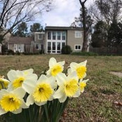Bill Ruhling's photo