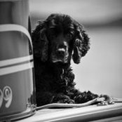 Kori Dymond's photo