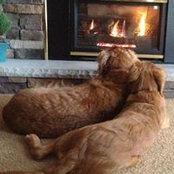 Wendy Sagissor's photo