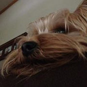 Casey Ryan Westphalen's photo