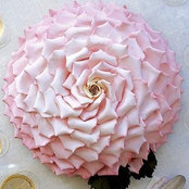 MARIA ANTONELLA VERME's photo