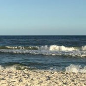 Debbie Adams's photo