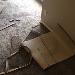 New Carpet Condo Make Ready - Carpet Tiles