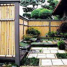 Landscape Design Class