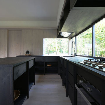 Case Study Kitchen #95