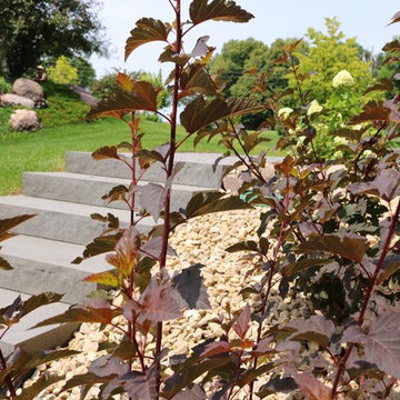 Softscape (Flowers, Flower beds and more)