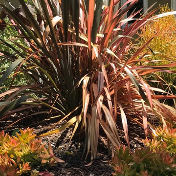 Front yard color brings complement to front door entry.
