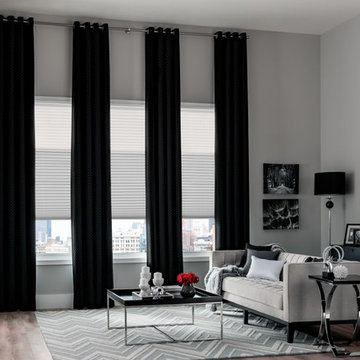 High Contrast Window Treatments