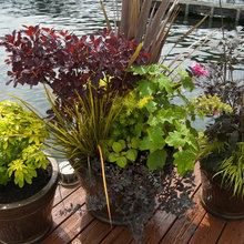 dock