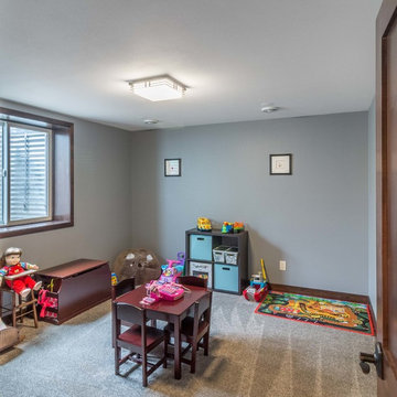 Reimagined Basements - DeForest